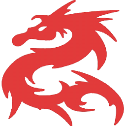 DragonKMS Logo